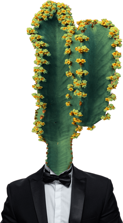 517x938